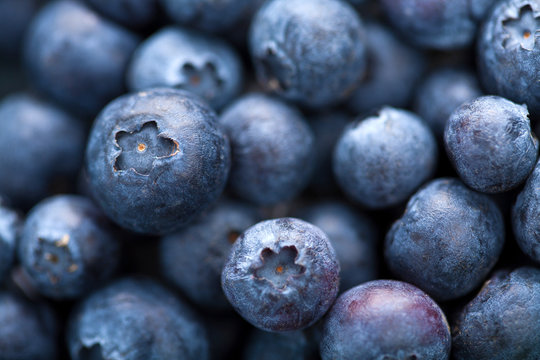 fresh blueberry background