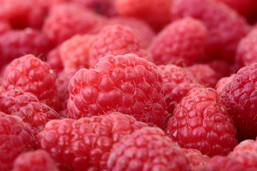 Raspberries Close-up