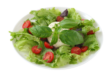 Salad with cheese mozzarella