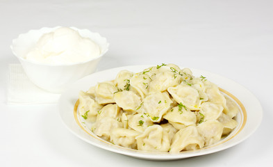 Bowl with traditional russian dish - pelmeni