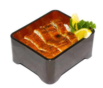 Unagi, grilled eel with rice, traditional japanese cuisine