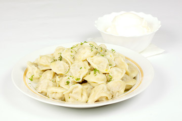 Bowl with traditional russian dish - pelmeni