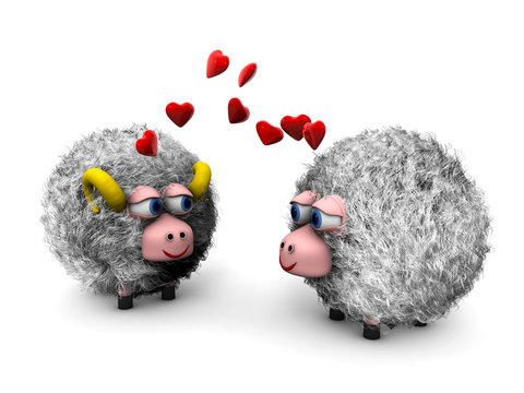 Pecore innamorate