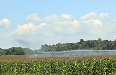 Crop Irrigation