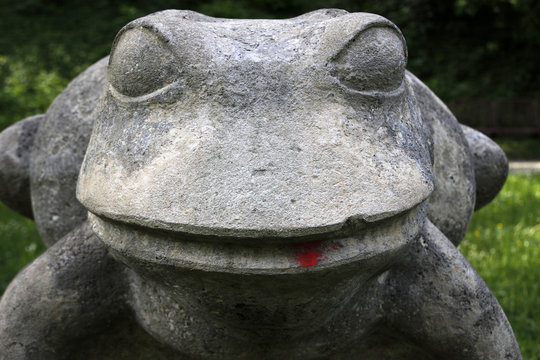 Steinfrosch in M&uuml;hlhausen