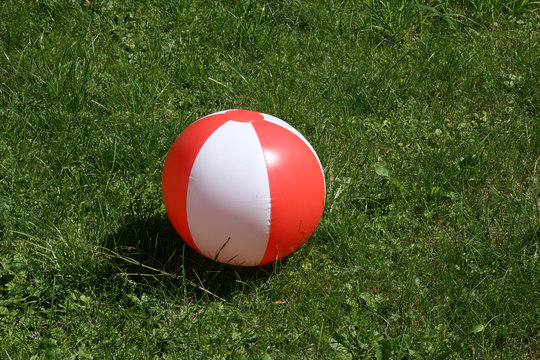 Wasserball in der Wiese