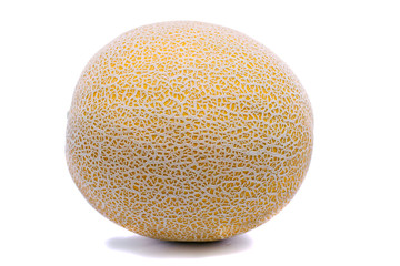 Cantaloupe Melon
