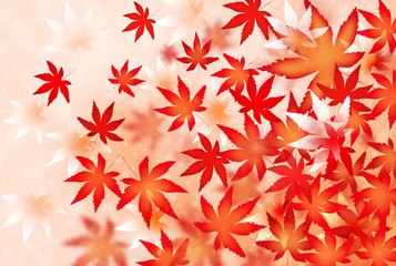 Fototapeta premium momiji