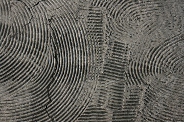 texture raclette filaments