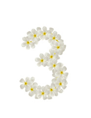 Numbers three made of tropical flowers frangipani(plumeria) isol