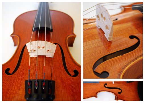 "Violin" Collage (stringed instrument close-up musical)