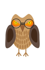 Painted owl with glasses on a white background