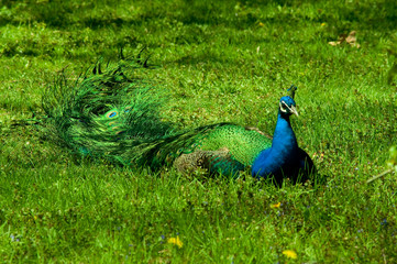 Now You See It, Now You Don't