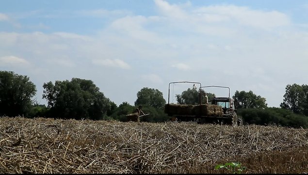 agricol