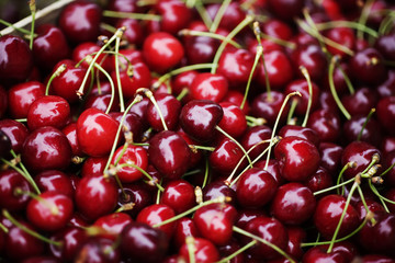 bunch of fresh cherries