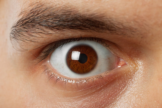 close-up shot of young man brown eye