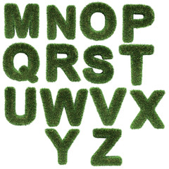 letter made of grass