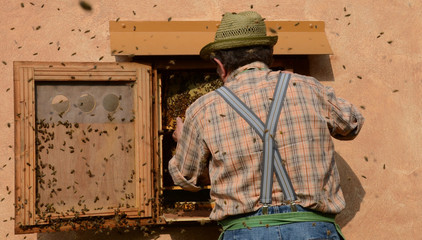 Imker © Stefan Richter