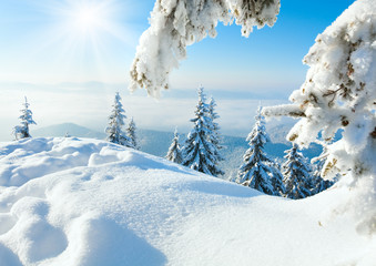 Winter snowy landscape