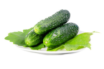 Cucumbers with green leaves on a plat