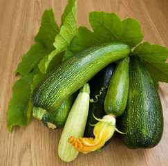 Marrows