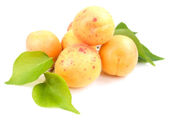 Apricots