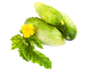 Cucumbers