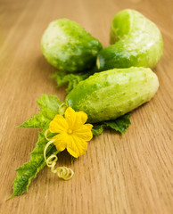 Cucumbers