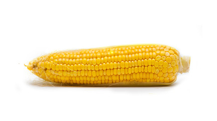 Fresh corn