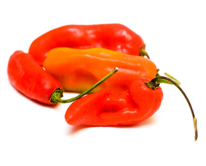 Hot Peppers