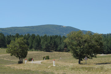 Risque de passage d'animaux sauvages