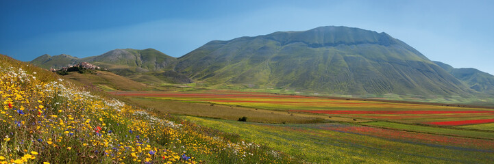 Panoramica Castelluccio con fioritura