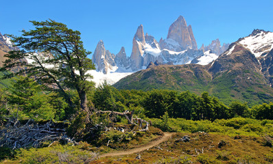 Wilderness with Mt Fitz Roy in Argentina, South America.