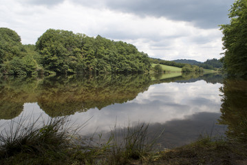 Fototapeta na wymiar Jezioro i las