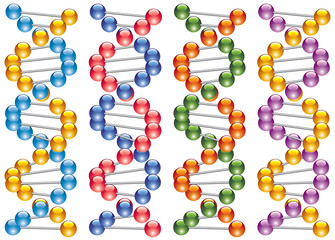 set of colorful dna strands