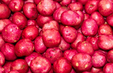 Red potatoes on display at the farmer's market
