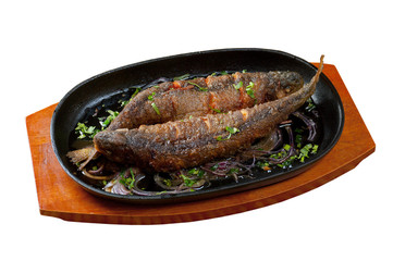 Grilled Trout