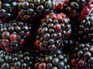 Macro image of blackberry