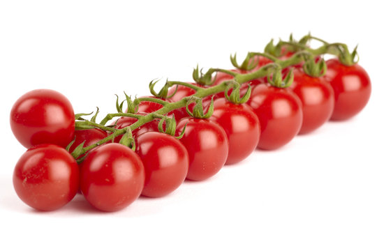 Rispen 이미지 – 찾아보기 1,719 스톡 사진, 벡터 및 비디오 | Adobe Stock