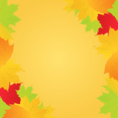 Vector Autumn Maple Leaves Frame