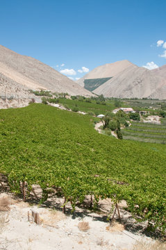 Elqui valley, Chile
