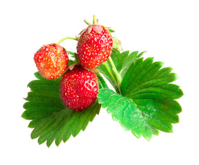 three strawberries