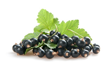 blackcurrant