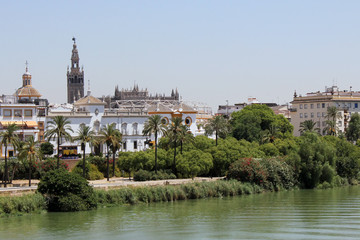 Fototapeta premium Sevilla