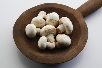 Champiñones