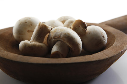Champi&ntilde;ones