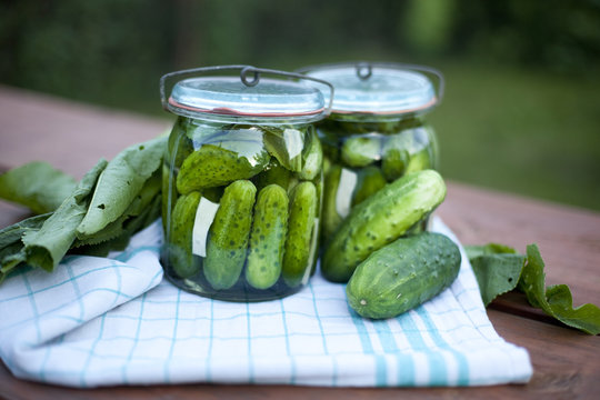 pickled cucumber  / ogórki kiszone lub małosolne