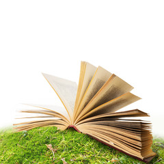 open book in moss