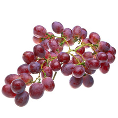 Cluster of grapes