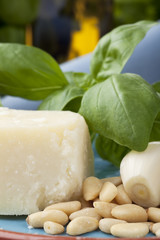 Closeup of Pesto Ingredients